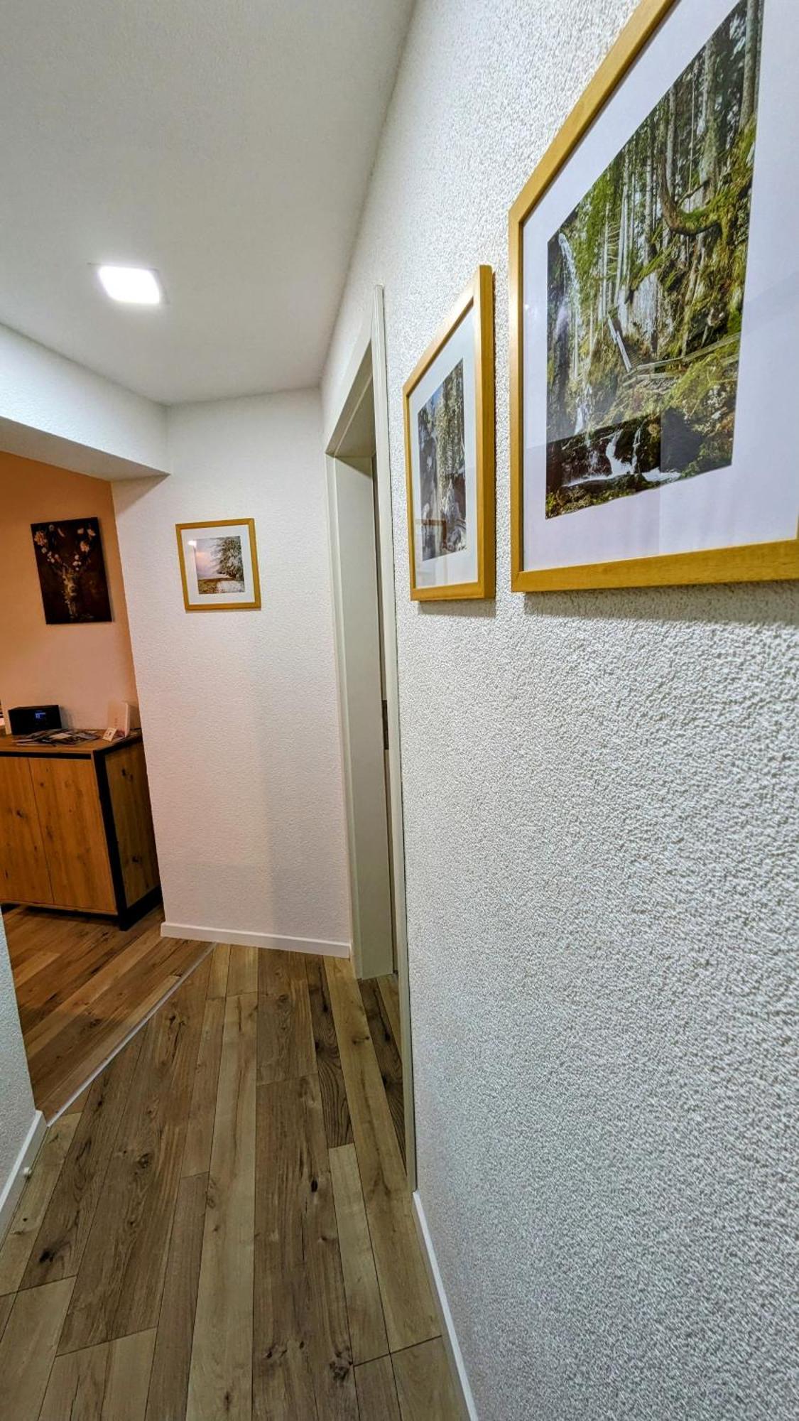Ferienwohnung Albbruck/Albert Exterior photo